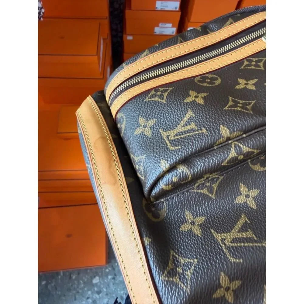 Louis Vuitton brand louis